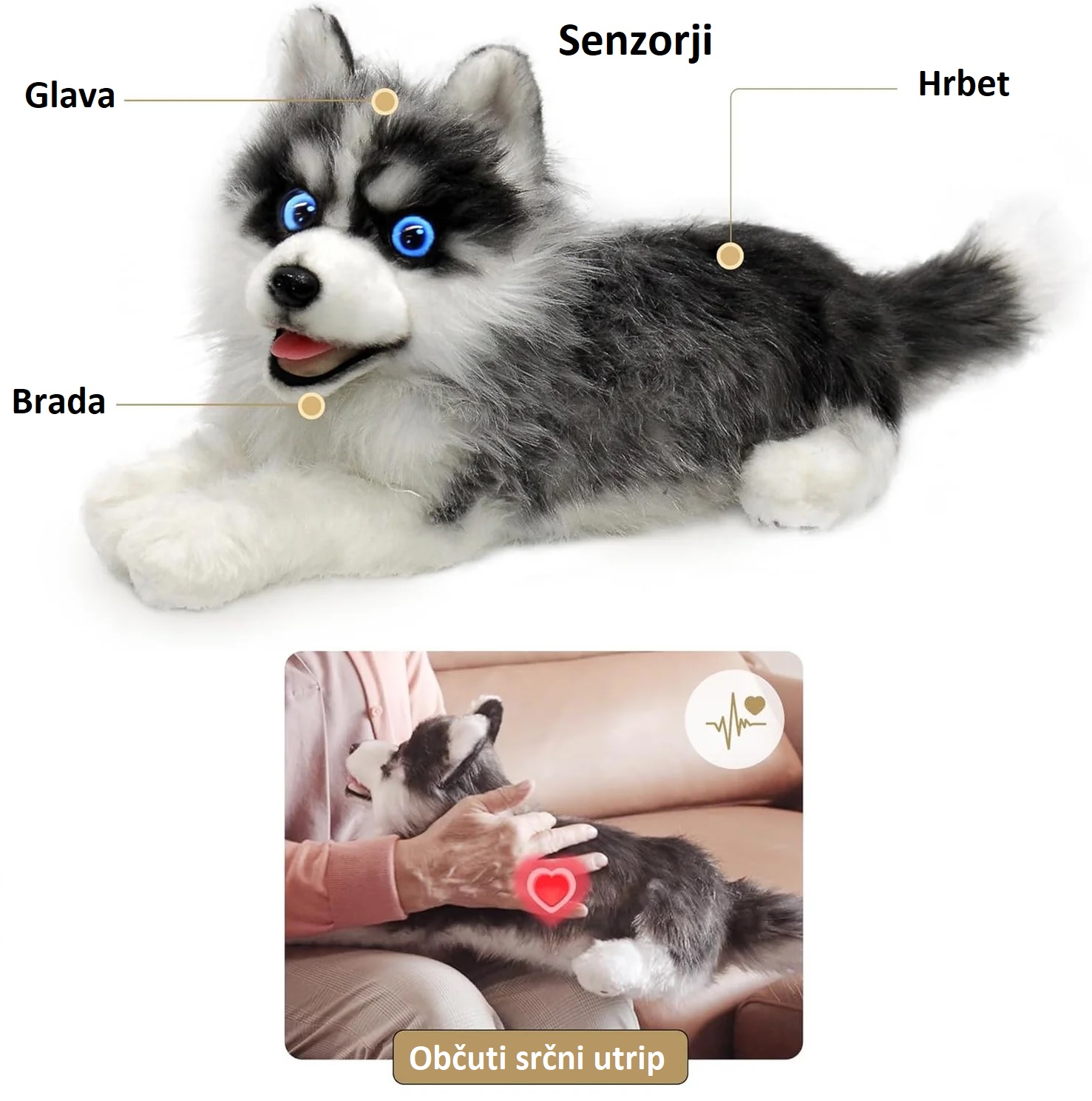 terapevtski_pes_11 - fizio trgovina