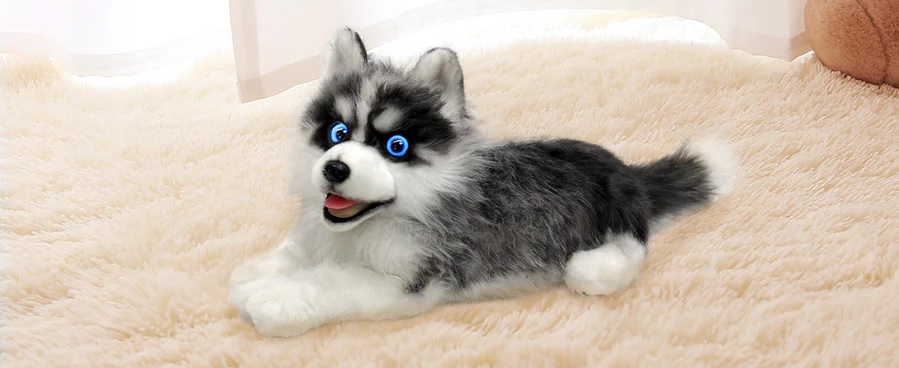 terapevtski_pes_12 - fizio trgovina