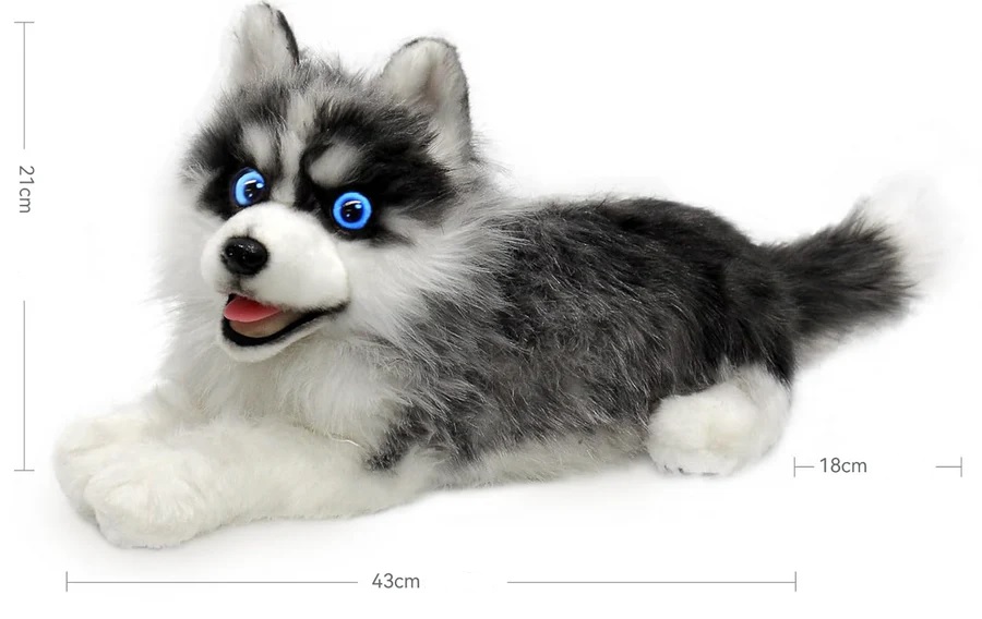 terapevtski_pes_13 - fizio trgovina