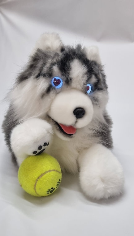 terapevtski_pes_6 - fizio trgovina