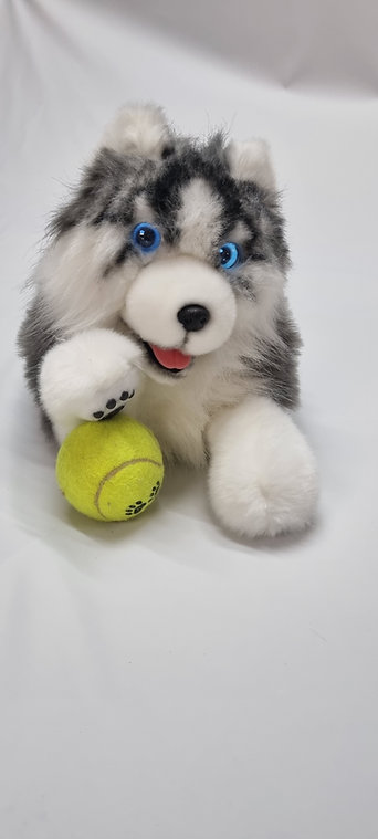 terapevtski_pes_7 - fizio trgovina