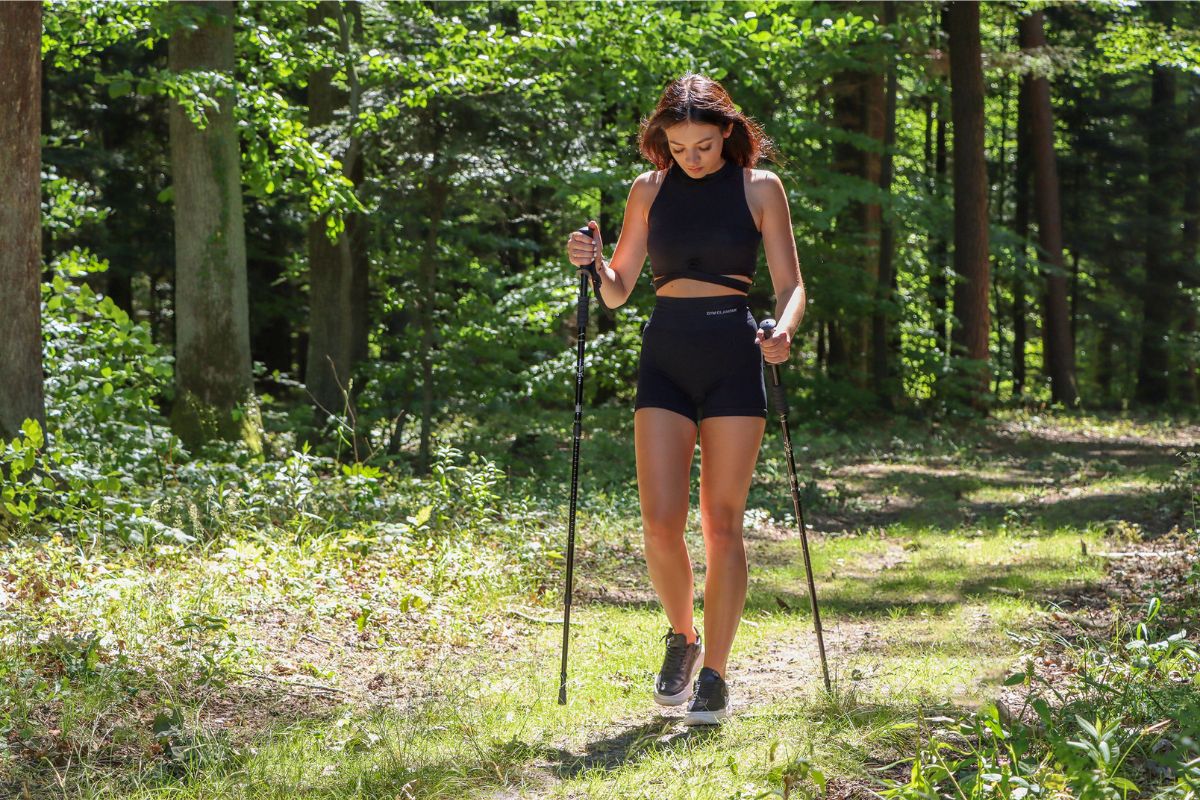 palice_za_nordijsko_hojo_1 - fizio trgovina